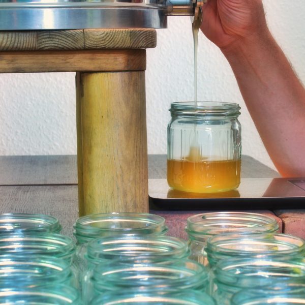 Benefícios do mel para o cabelo